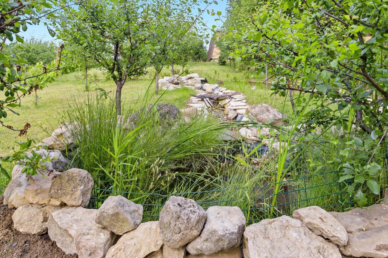 Arta Chalet Ceptura de Jos Εξωτερικό φωτογραφία